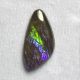 Ammolite